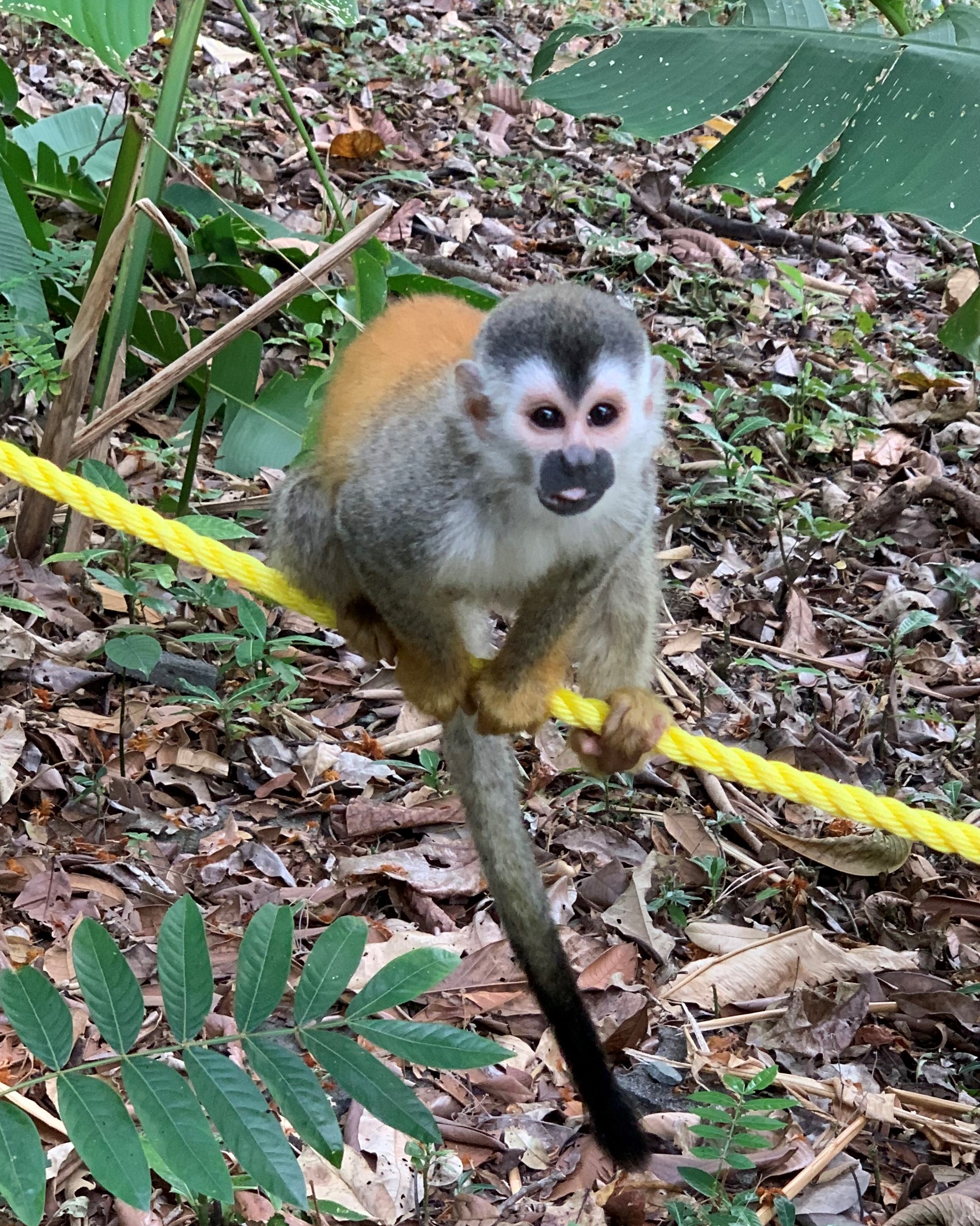 Costa Rica
